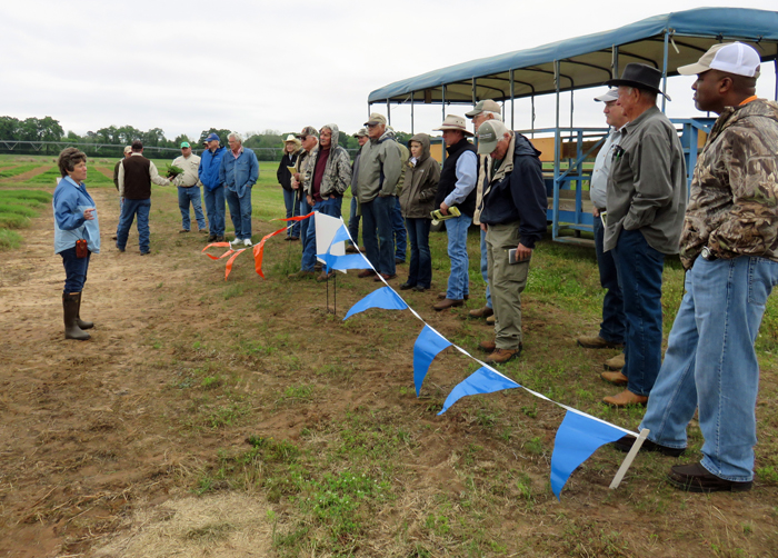 Ann Blount discusses warm-seson forage options for the Panhandle. Photo credit: Doug Mayo