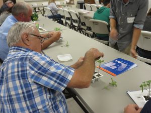 Grafting tomato transplants at the Panhandle Fruit & Vegetable Conference. Photo Credit: Doug Mayo, UF/IFAS Extension.