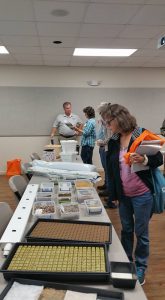 Extension Agent Bob Hochmuth reviewed various hydroponic media during a Protected Ag session at the Panhandle Fruit & Vegetable Conference. Photo Credit: Libbie Johnson, UF/IFAS Extension.