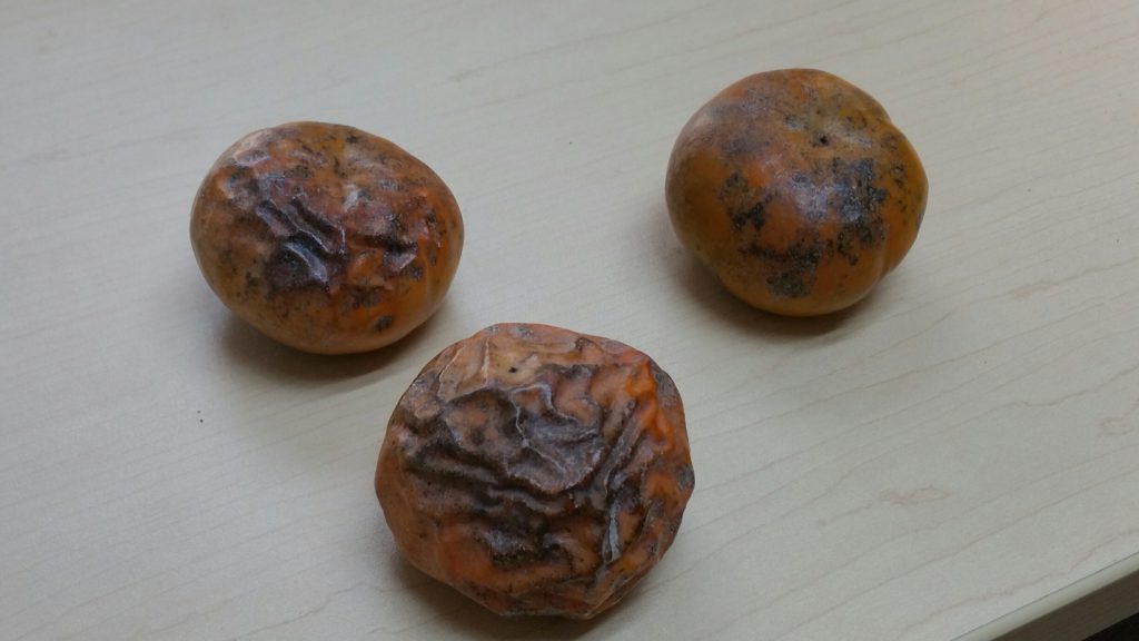 three-persimmons