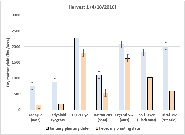 Figure 2. Dry matter yield of cool-season grasses planted in January or February 2016 in North Florida (UF/IFAS NFREC, Marianna, FL). Data from first harvest (4/18/2016).