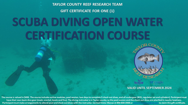 Scuba Diving Open Water Certification Course, GIFT CERTIFICATE Photo