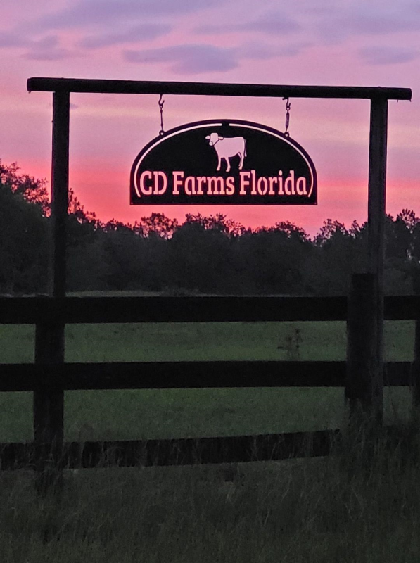 Barbecue and Farm Tour at CD Farms Florida Photo