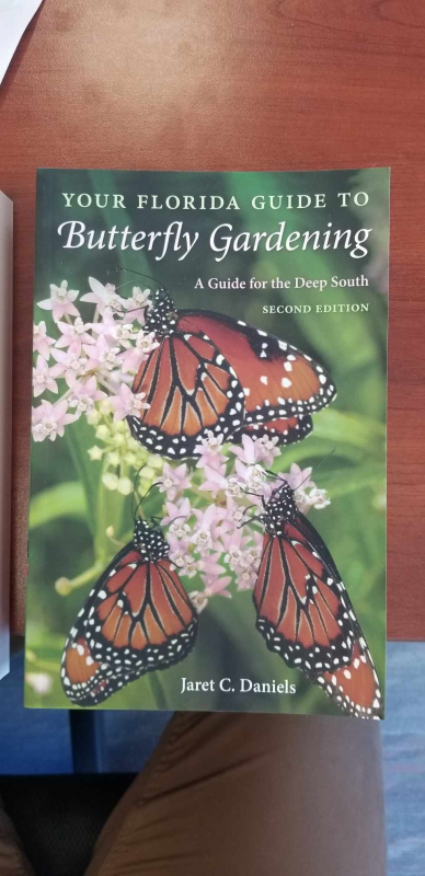 Your Florida Guide to Butterfly Gardening Photo