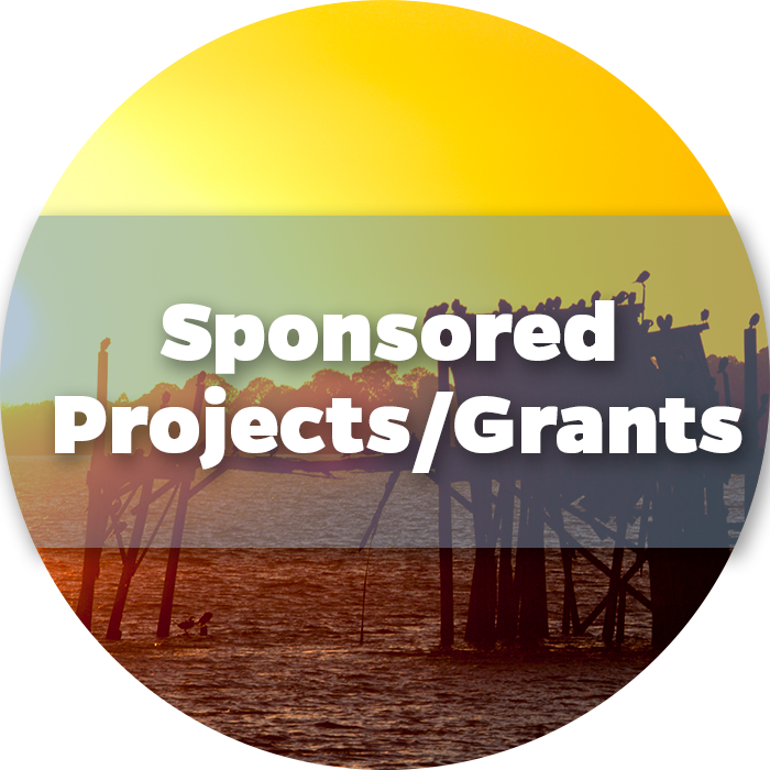 Sponsored-Projects_ Grants