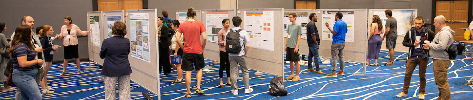 people viewing professional posters