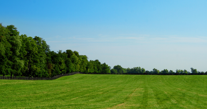 Pasture 700 x 370